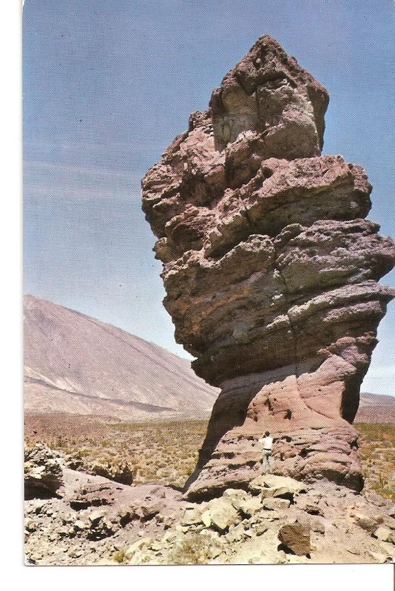 Postal 039765 : Tenerife. Arbol de Piedra en las Cañadas