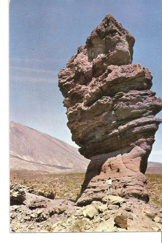 Postal 039765 : Tenerife. Arbol de Piedra en las Cañadas