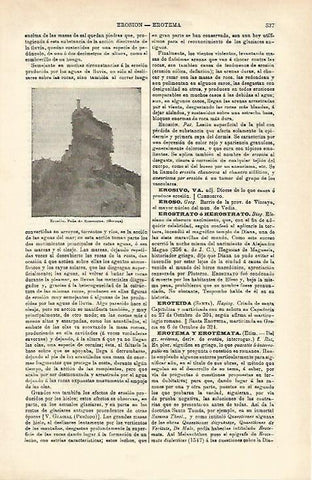 LAMINA ESPASA 16543: Peña de Rosacorva Girona