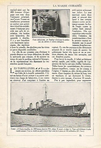 LAMINA 3907: EL TIGRE