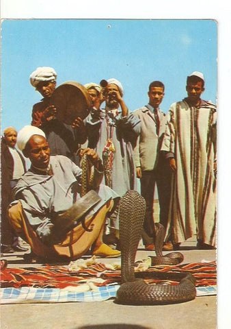 Postal 020612 : Maroc typique