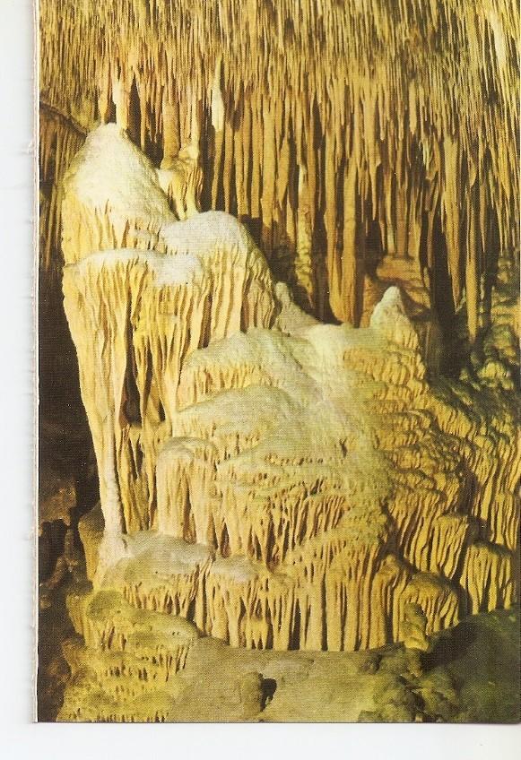 Postal 038830 : Cuevas del Drach. Porto Cristo - Mallorca. Monte Nevado