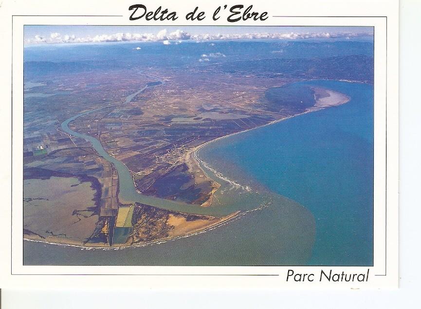Postal 040731 : Delta de lEbre. Parc Natural