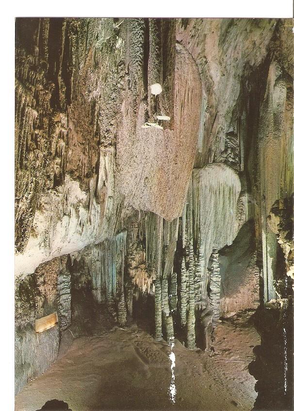 Postal 043311 : Salon de las banderas