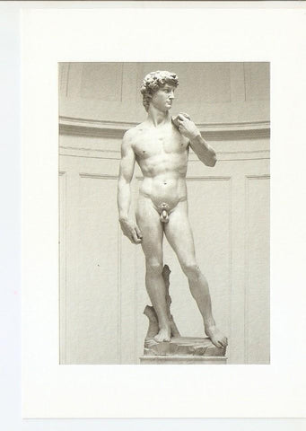 Postal 043745 : Michelangelo. David - Accademia Gallery - Florence
