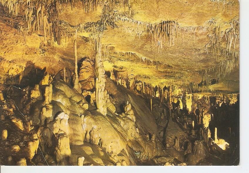 Postal 045207 : Cuevas de Altamira. Estalactitas y Estalagmitas