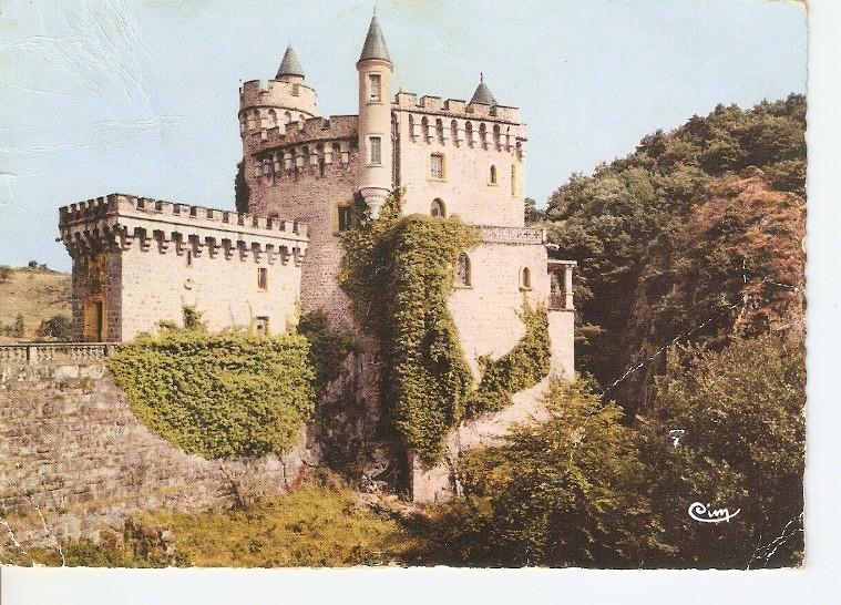 Postal 048319 : Emvirons de Roanne (Loire) - Le Château de la Roche
