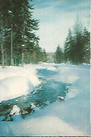 POSTAL  DE NAVIDAD 18381