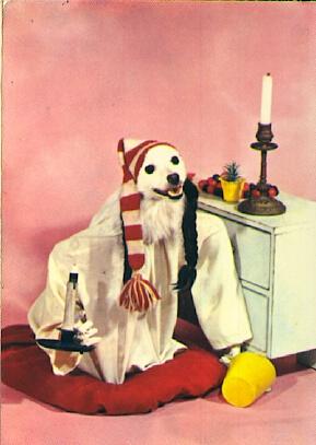POSTAL 57128: Perro con gorro