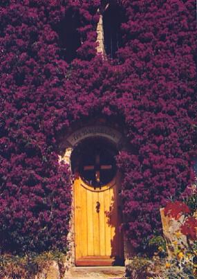 POSTAL 57160: La Cote d Azur miracle de la nature Les Bougainvilliers en fleurs