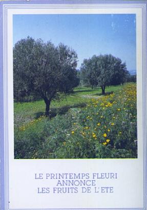 POSTAL 57168: Le Printemps Fleuri announce les fruits de l Ete