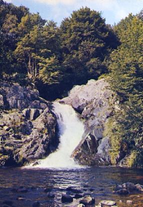 POSTAL 57170: Parc Naturel regional du Morvan Le Sauc de Gouloux (Nievre)