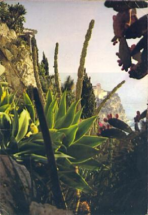 POSTAL 57181: Le Jardin Exotique au fond le Rocher Monaco