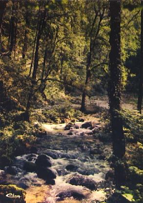 POSTAL 57183: Parc de Consolation (Doubs) Cascade et Lumiere