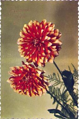 POSTAL 57206: Bonne Fete flores