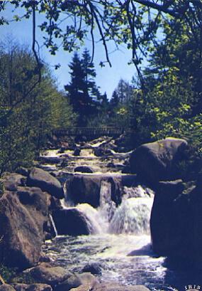 POSTAL 57210: Gerardmer Le Saut des Cuves