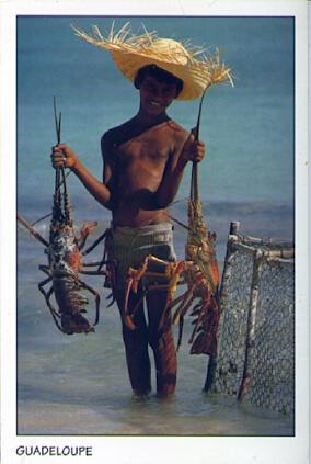 POSTAL 57211: Guadeloupe Antilles Les langoustes