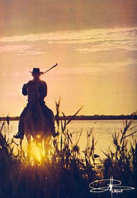 POSTAL 57212: En Camargue avec les gardians