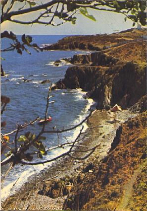 POSTAL 57215: Argeles sur Mer Les rochers du Racou Cote Vermeille