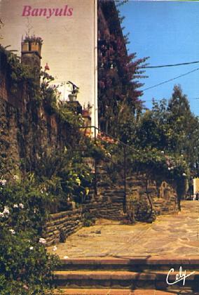 POSTAL 57217: Banyuls vieille rue