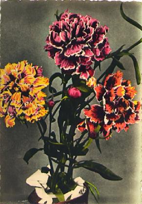 POSTAL 57225: Jarron con flores