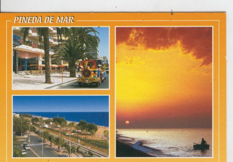 Postal 7040 : Pineda de Mar: vista general