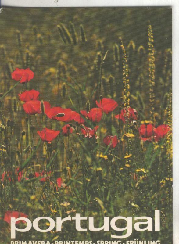 Postal 004760 : Primavera en Portugal