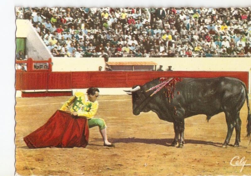 Postal 026547 : Un adorno del torero Aparicio