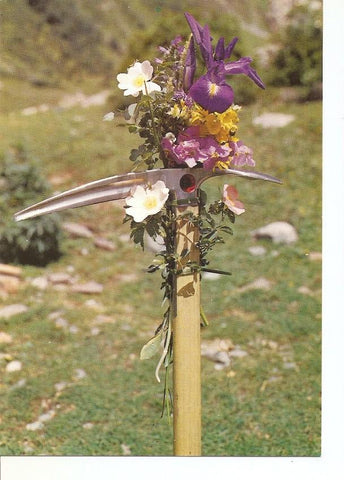 Postal 032617 : Piolet y Flora de los Pirineos