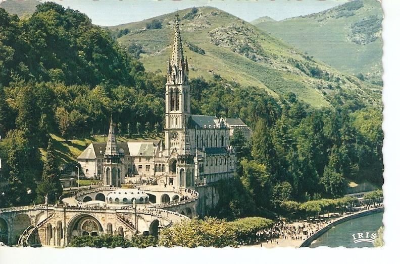 Postal 041498 : Lourdes. La Basilique et le Gave