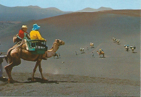 Postal 52296: LANZAROTE - Caravana de camellos