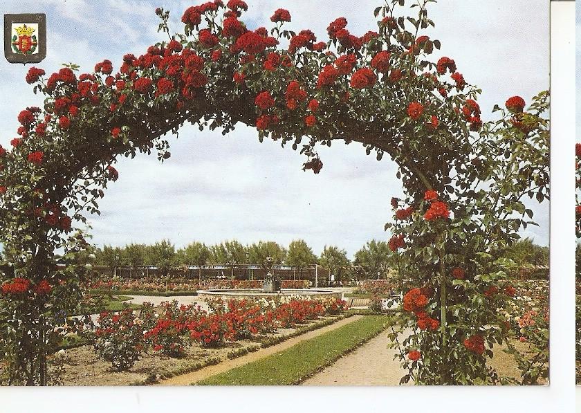 Postal 046594 : Valladolid. La Rosaleda