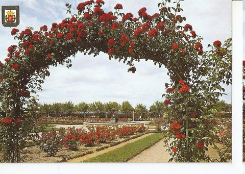 Postal 046594 : Valladolid. La Rosaleda