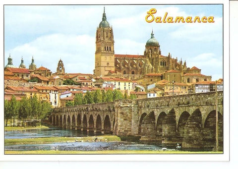 Postal 041209 : Salamanca. Catedral y Puente romano
