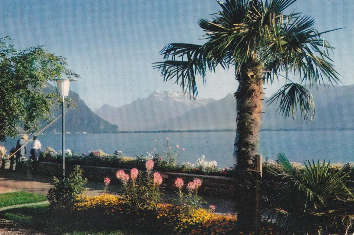 Postal 62093 : St. Moritz mit Languardkette