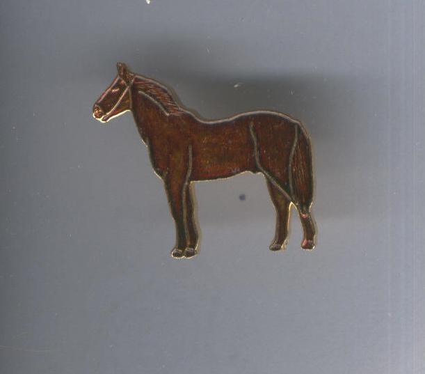 Pins metal: Caballo