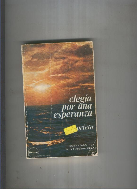 Elegia por una esperanza