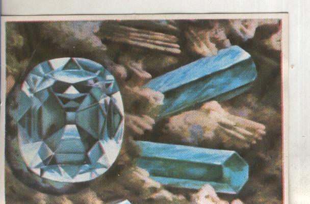 Cromos: Historia Natural numero 077