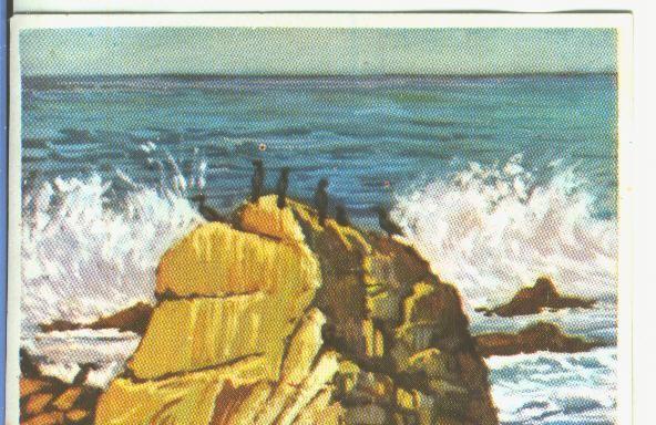 Cromos: Historia Natural numero 041