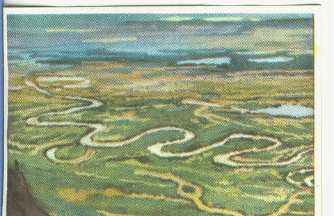 Cromos: Historia Natural numero 055