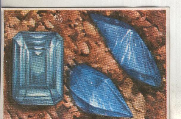 Cromos: Historia Natural numero 076