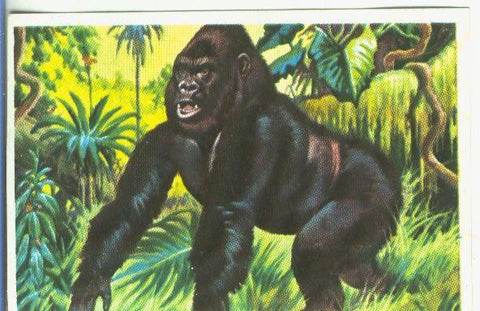 Cromos: Historia Natural numero 124