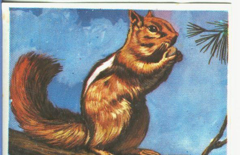 Cromos: Historia Natural numero 169