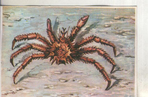 Cromos: Historia Natural numero 264