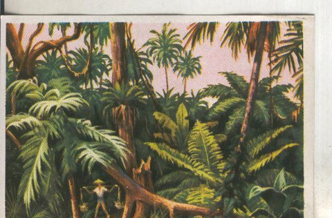 Cromos: Historia Natural numero 408