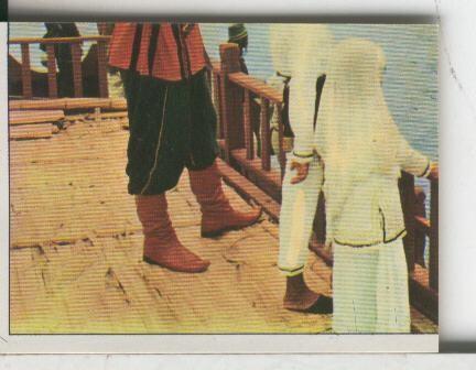 Cromos Sandokan de Panini numero 049