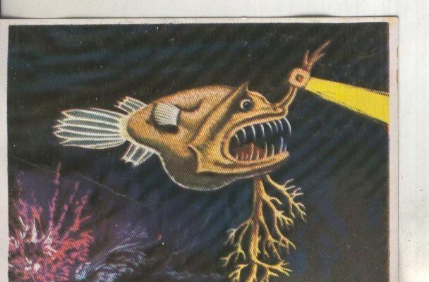 Cromos: Historia Natural numero 198