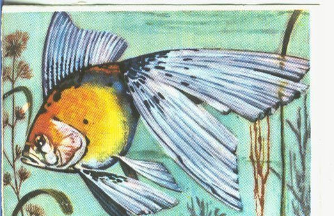 Cromos: Historia Natural numero 329