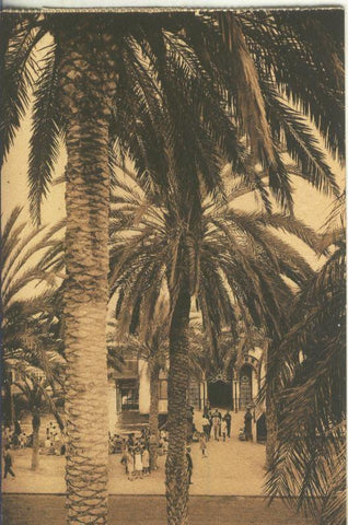 Postal B/N 0216 : Entrada del Balneario Alhambra de Alicante