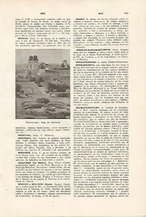 LAMINA SALVAT 80168: Balneario de Heringsdorf